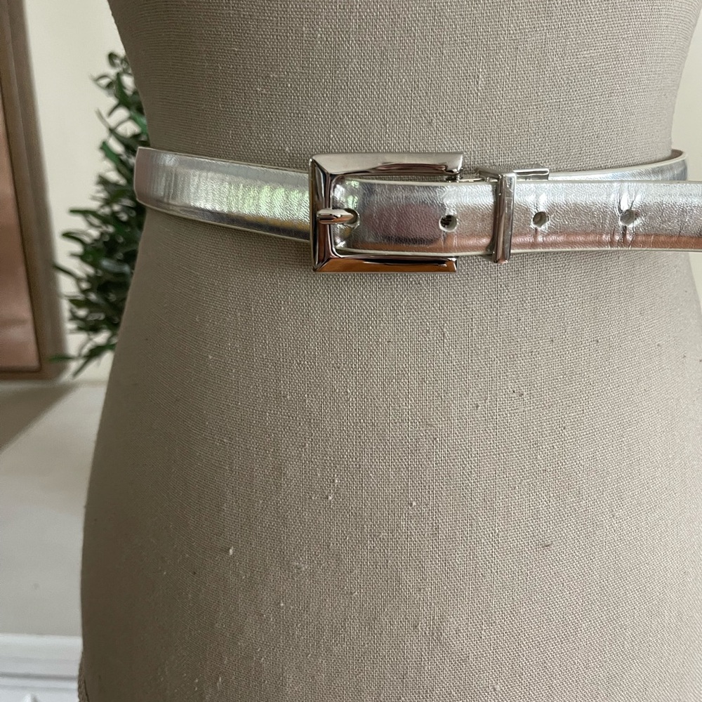 Silver to Gold Reversible Metallic Belt